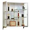 Wall Hanging Display Case